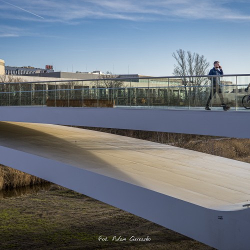 022-_MG_2702